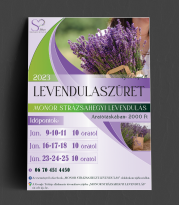 Plakát és facebook hirdetés -